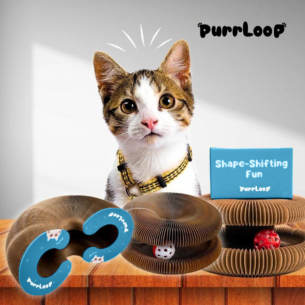 The #1 Cat Toy Loved by 2450+ Happy Owners!
